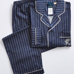 Harry Potter Navy and gray Striped Shirt